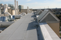 Flat Roof Example 1
